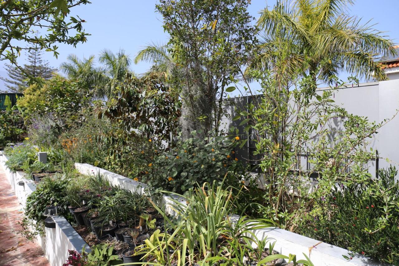 Jungle Paradise La Orotava Exterior photo